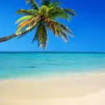 Best Caribbean Islands to Visit on a Cruise in 2026